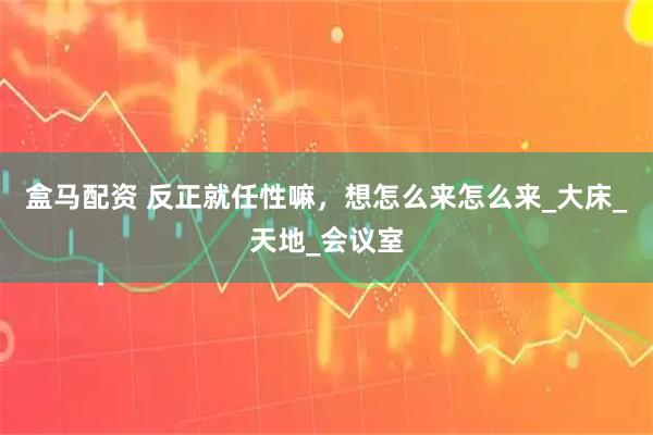盒马配资 反正就任性嘛，想怎么来怎么来_大床_天地_会议室